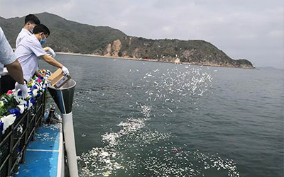 骨灰海撒节约土地，回归自然