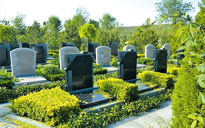 墓地类别有哪些？