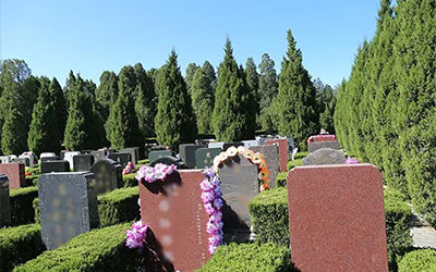 公墓信息网浅析什么叫做“跟”