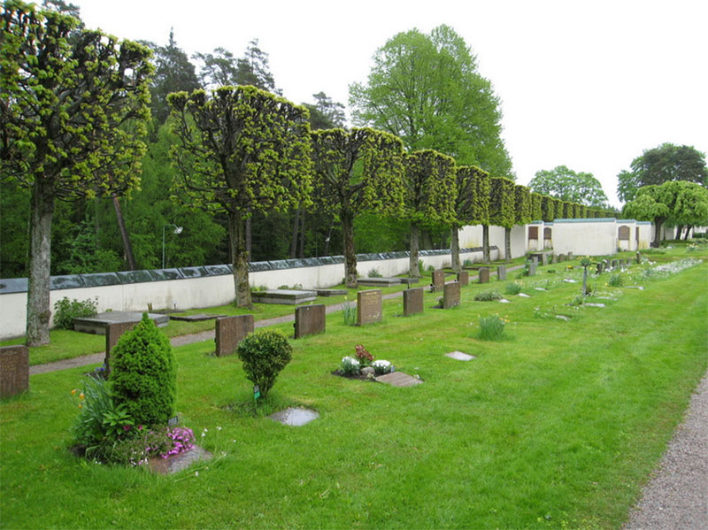 什么是树葬? 什么是树葬