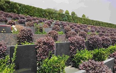 昆明公墓服务好不好？