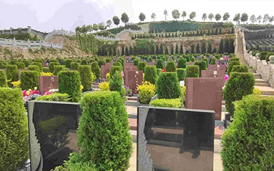 公墓和陵园是一个东西吗？有没有区别？