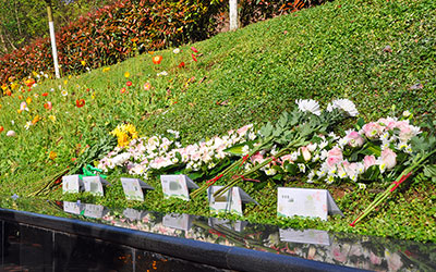 为何说绿色殡葬将作为以后主要的安葬方式