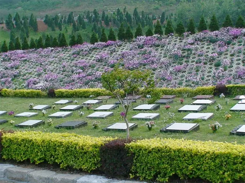为什么绿色殡葬越来越受欢迎 为什么绿色殡葬越来越受欢迎