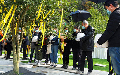 选择树葬的家庭是什么样子的？