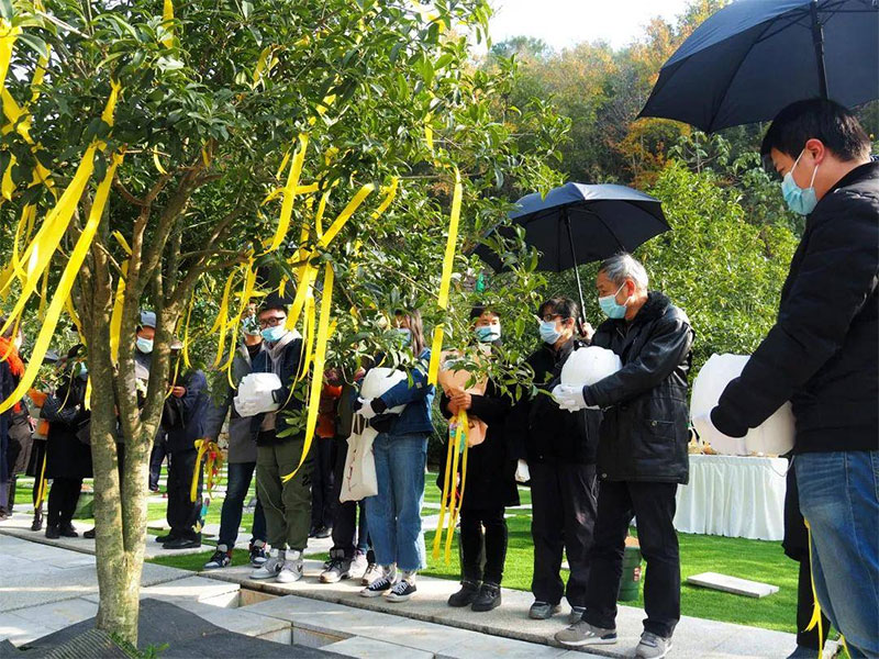 选择树葬的家庭是什么样子的 选择树葬的家庭是什么样子的