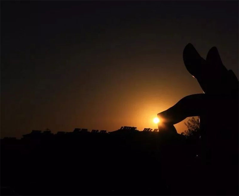 生命的最终,你希望留下什么影像 生命的最终,你希望留下什么影像