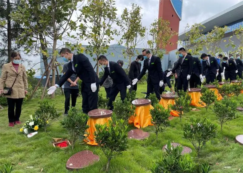 被大部分客户咨询的树葬究竟是什么样的