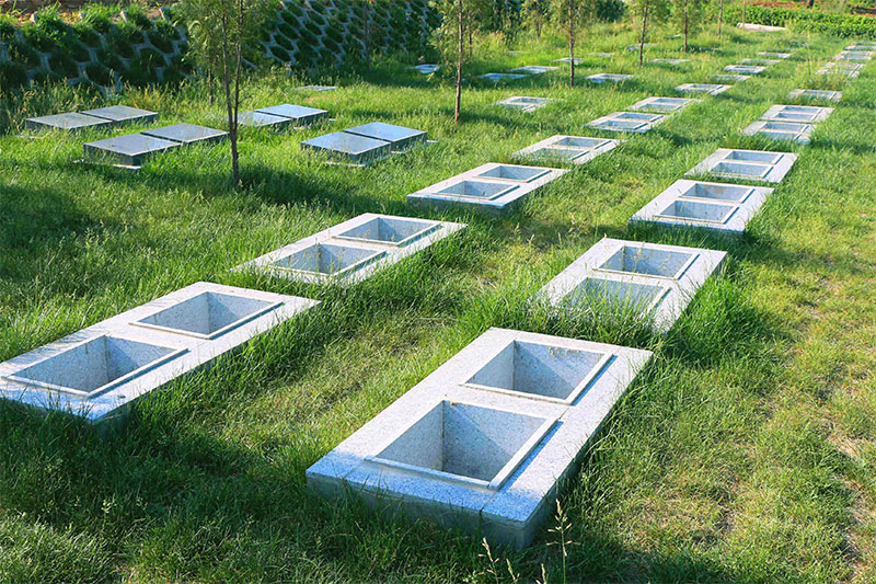 生态葬该如何祭祀 生态葬该如何祭祀