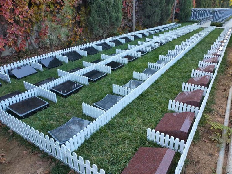 热门的环保生态葬您能接受吗