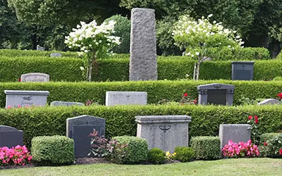 公墓期限只有20年，如若到期后子孙没有续费，骨灰会被挖出来吗？