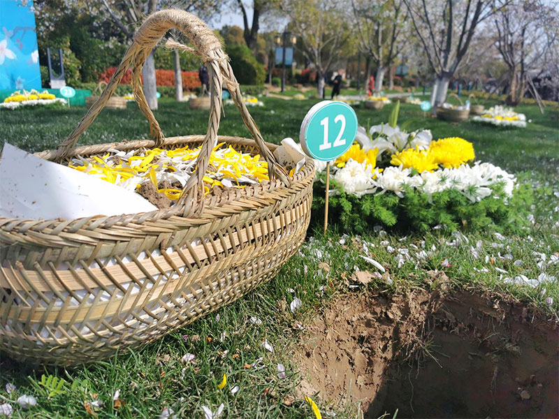 环保树葬,让生命回归自然 环保树葬,让生命回归自然