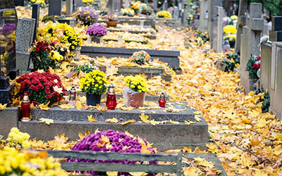 关于“殡”和停殡