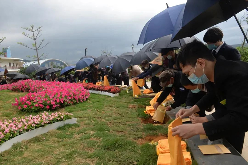 为什么会选择殡葬服务