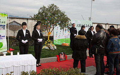 殡葬服务选择骨灰盒寄存墓地时，需留意哪些问题