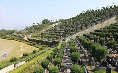 殡葬服务陵园和公墓有什么区别