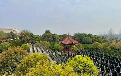 坟墓前栽种植被的讲究