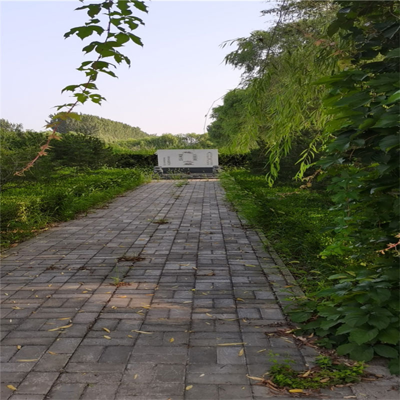 明堂指的是什么