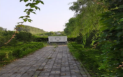 明堂指的是什么？