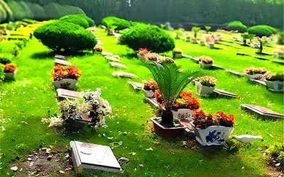 昆明有生态葬吗？昆明生态葬的特点是什么？昆明生态葬种类有哪些？