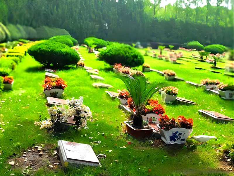 昆明有生态葬吗?昆明生态葬的特点是什么?昆明生态葬种类有哪些? 昆明有生态葬吗?昆明生态葬的特点是什么?昆明生态葬种类有哪些?