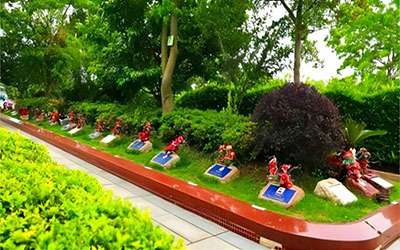 昆明选择树葬的人越来越多，树葬有什么优点？