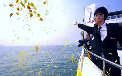 昆明海葬收费模式有哪些？昆明海葬费用大概是多少？包船海葬有哪些优点？