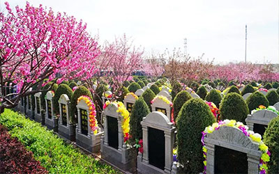 公墓信息网带你了解国家为什么要大力推广公墓
