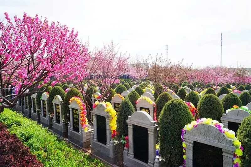 公墓信息网带你了解国家为什么要大力推广公墓