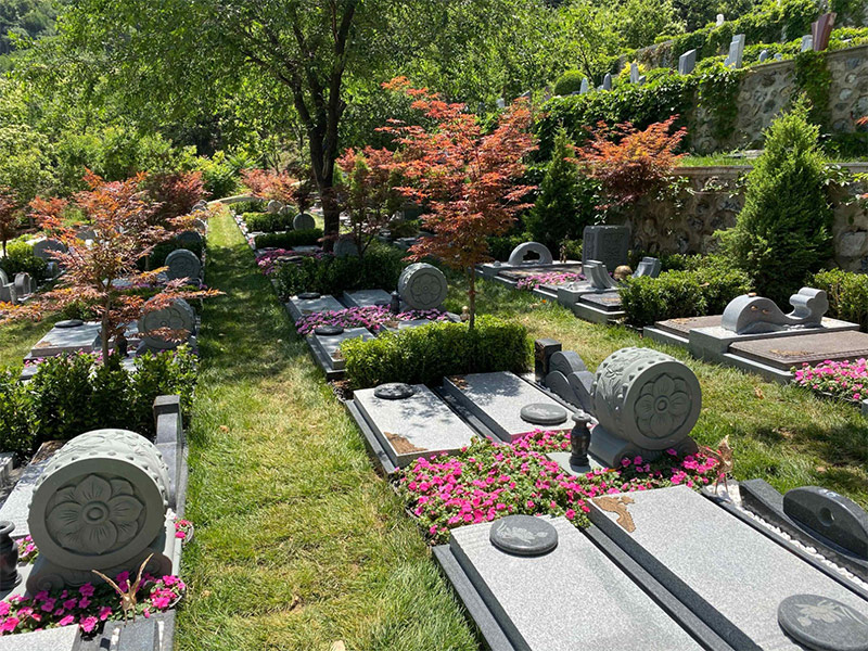 昆明公墓种树都有哪些讲究 昆明公墓种树都有哪些讲究