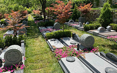 昆明公墓种树都有哪些讲究？