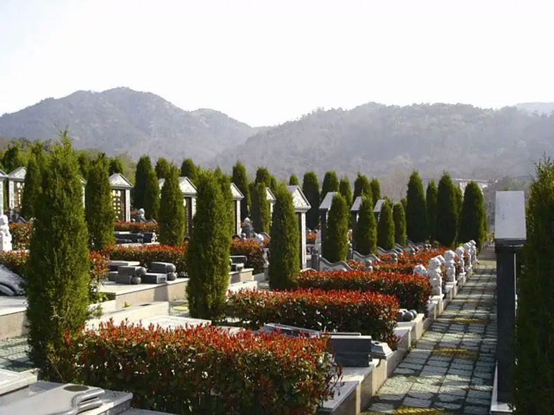 公墓小小大大作用 公墓小小大大作用