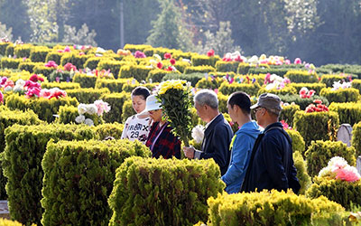 祭扫时间怎么选择呢
