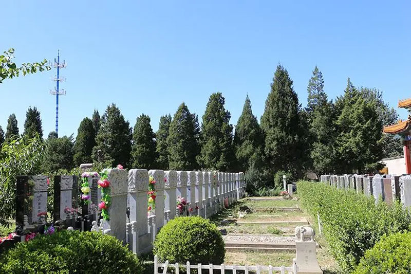 祖坟风水对后代的影响 祖坟风水对后代的影响