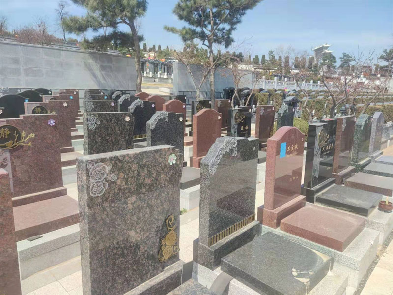 公墓使用权只有20年，如果到期不续费，墓园会如何处理？