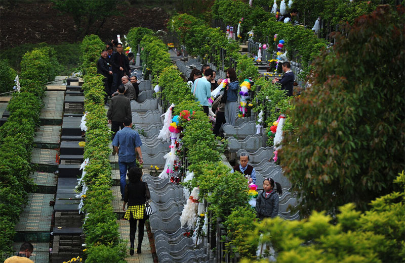 公墓信息网告诉您清明节上坟步骤