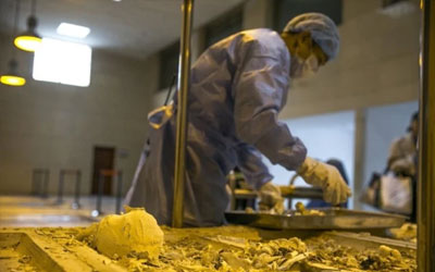 公墓信息网告诉您火化后骨灰的颜色