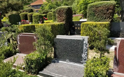 墓地为什么越来越贵