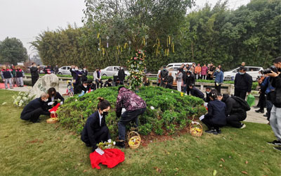 树葬是什么殡葬理念