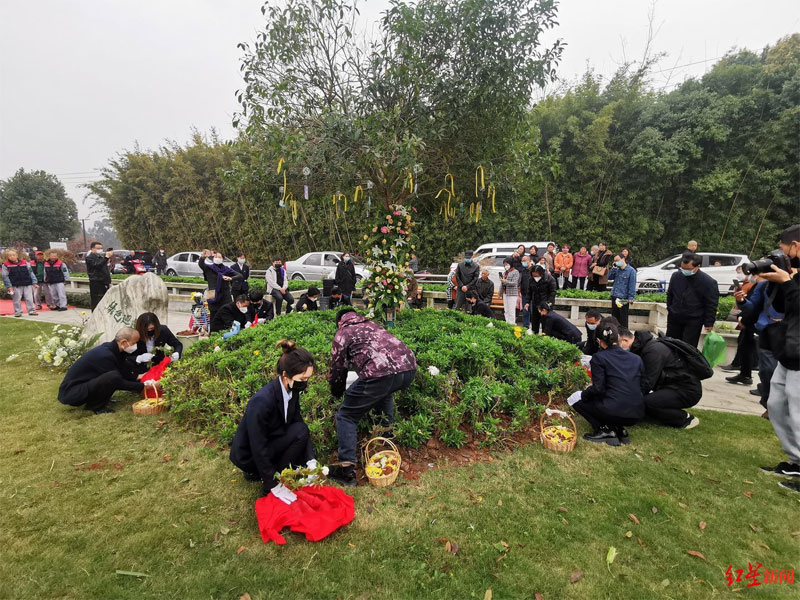 树葬是什么殡葬理念