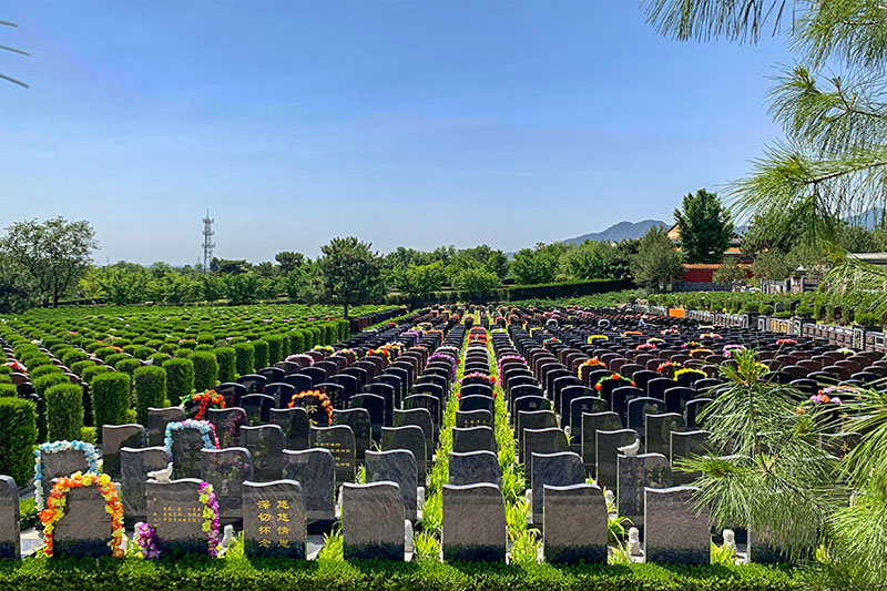 一种新型殡葬模式 一种新型殡葬模式