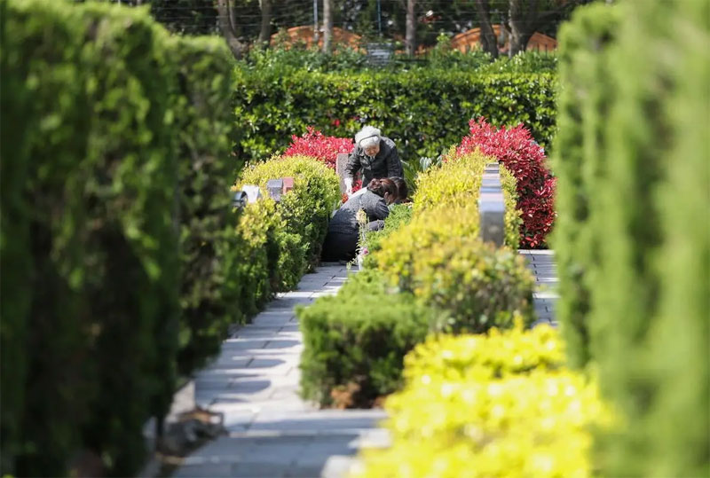 祭奠亲人都有哪些日期及形式 祭奠亲人都有哪些日期及形式