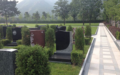 什么样的墓地对子孙后代好