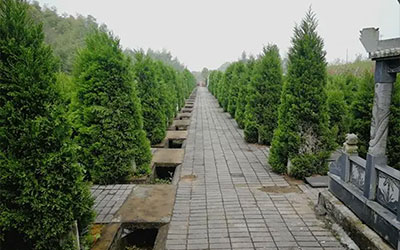 墓地的价格不一样的原因有哪些