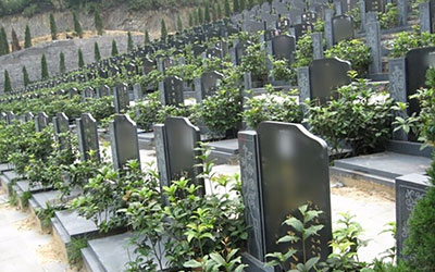 陵园有哪些种类？有些什么区别？