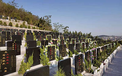 在什么情况下需要迁坟？