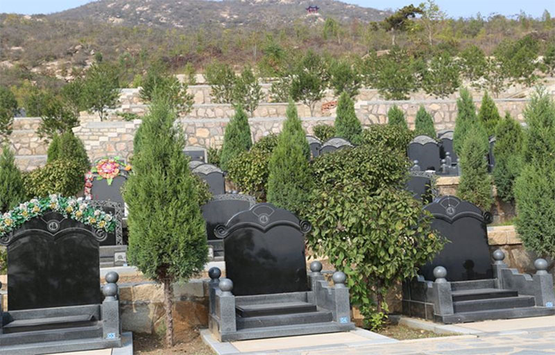 墓地附近种什么树好 墓地附近种什么树好