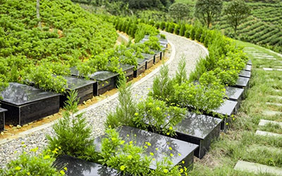 生态墓地选题背景和含义