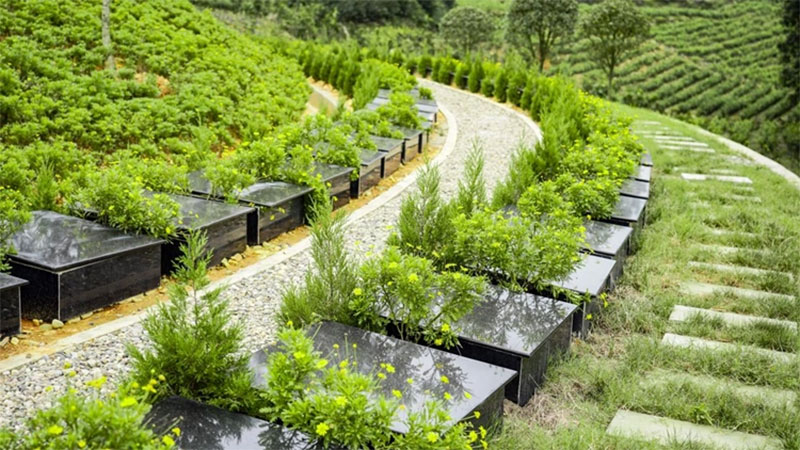 生态墓地选题背景和含义