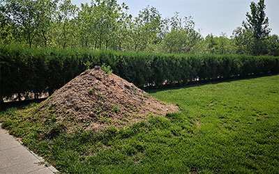 中国火葬历史至少三千年，但人们为什么更喜欢土葬？